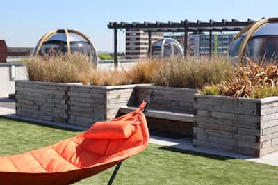 Apo at The Gatefold - Image 2