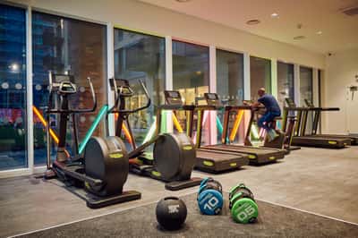 Apo Barking - Image 3