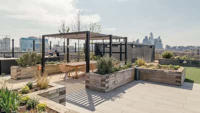 Dressage Court - Image 2