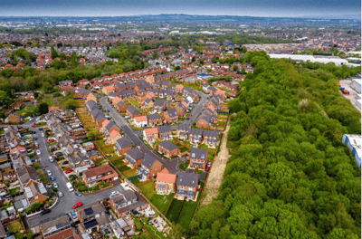 Juniper Grove - Image 4