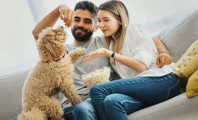 The Blockhouse - Image 5