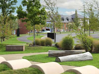 The Pioneers - Image 5