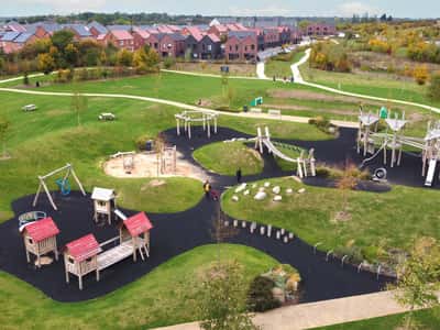 The Pioneers - Image 8