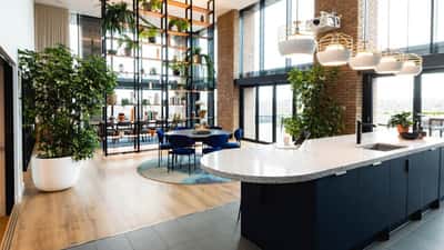 The Wullcomb - Image 3