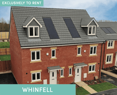 Westminster Walk - Image 3