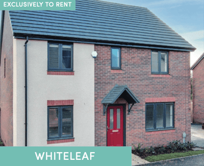 Westminster Walk - Image 4