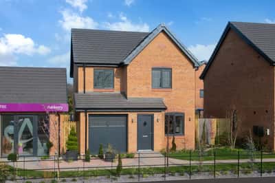 Poppy Fields - Image 14