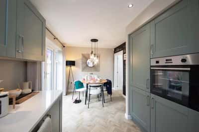 The Acorns - Image 4