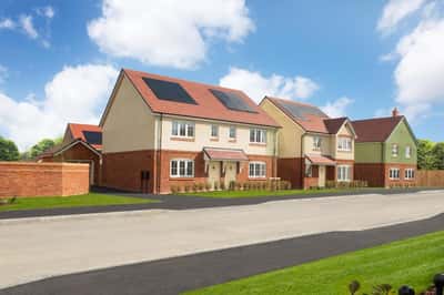 The Wickets - Image 3