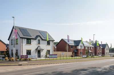 Yew Tree Meadows - Image 10