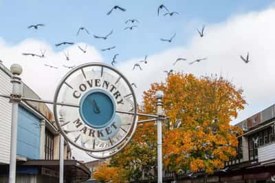 Yew Tree Meadows - Image 15