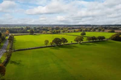Yew Tree Meadows - Image 3