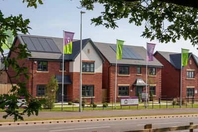 Yew Tree Meadows - Image 4