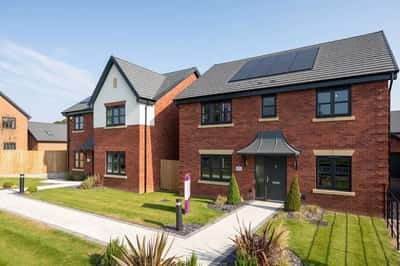 Yew Tree Meadows - Image 7