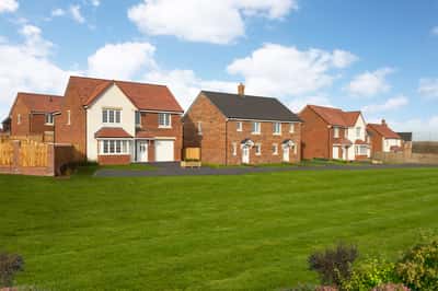 Ambretone Park - Image 3