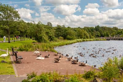 Craignethan Gate - Image 5