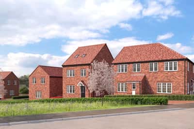 Seely Fields - Image 2