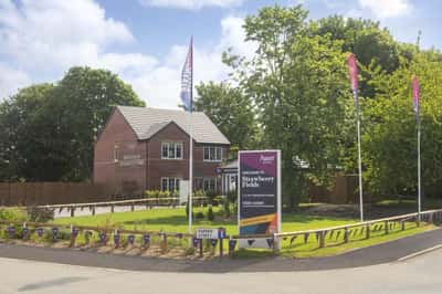 Strawberry Fields - Image 1