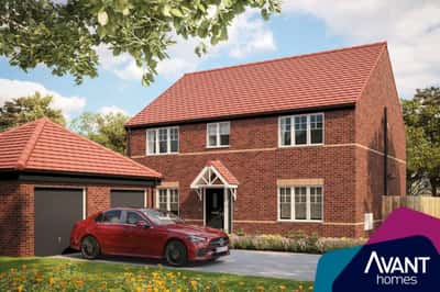 Strawberry Fields - Image 2