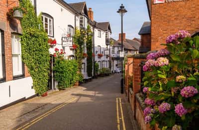 Bertelin Fields - Image 10