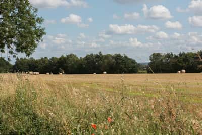 Ceres Rise - Image 10