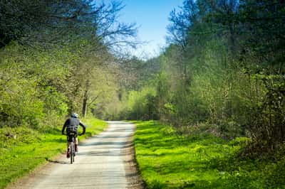 Fairway Gardens - Image 9