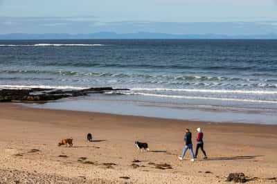 Findrassie - Image 8