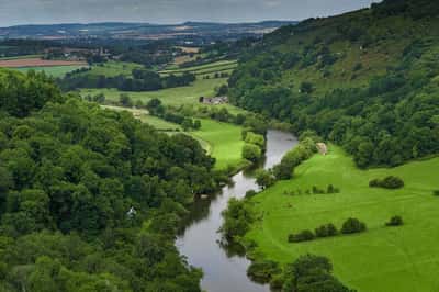 Forest Grove - Image 8