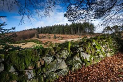 Hopecroft View - Image 9