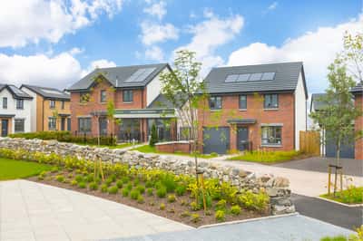 King's Gallop - Image 6