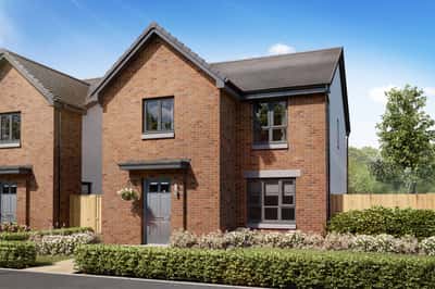 King's Gallop - Image 9