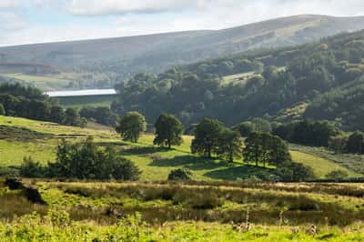 Midshires Meadow - Image 10