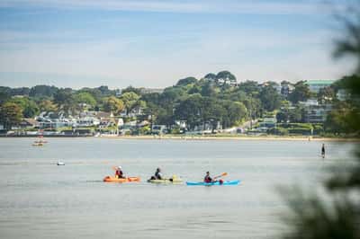 Quarter Jack Park - Image 9