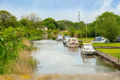 Rogerson Gardens - Image 10