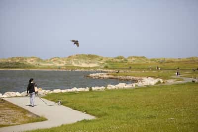 Sundial Place - Image 12