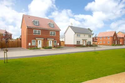 The Lilies - Image 3