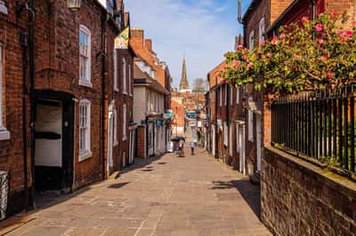 The Lilies - Image 9