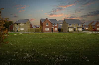 Waldmers Wood - Image 5