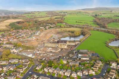 Waldmers Wood - Image 2