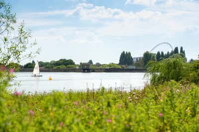 Wembley Park Gardens - Image 9