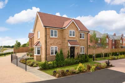 Bronze Fields - Image 3