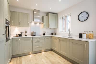 Bronze Fields - Image 7