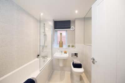 Cotton Woods - Image 14