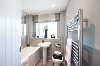 Cotton Woods - Image 15