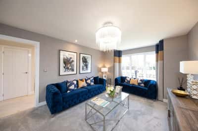 Cotton Woods - Image 5