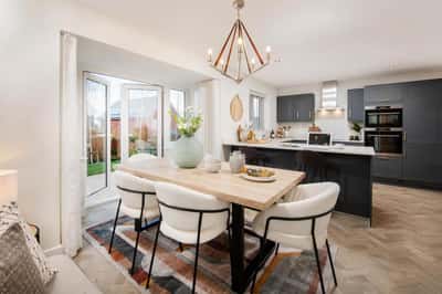 Darwin's Edge - Image 16