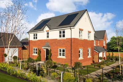 Darwin's Edge - Image 2