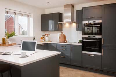 Darwin's Edge - Image 7