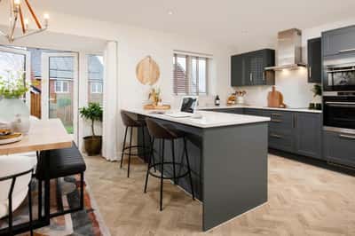 Darwin's Edge - Image 9