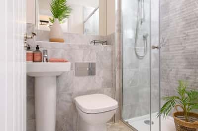 Forest Walk - Image 14